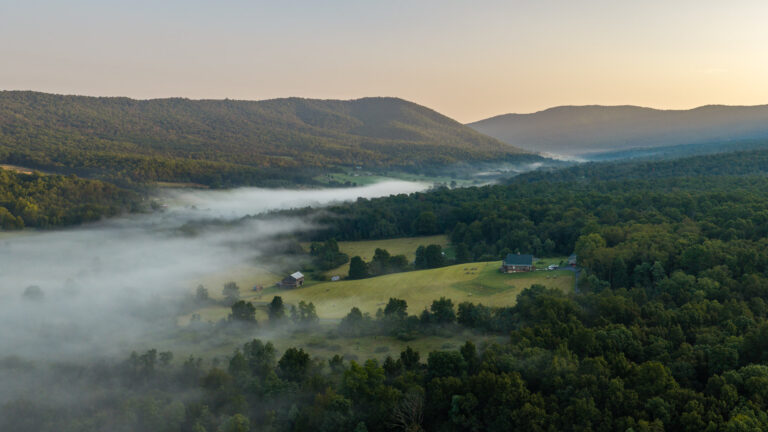 Morning in the Valley